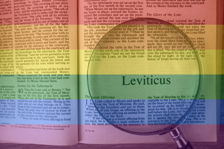 Leviticus 18:22 does not condemn sexual diversity.