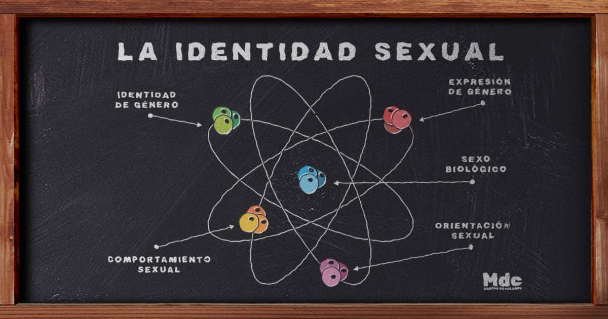 Identidad Sexual | Modelo atómico Esquema de los componentes de la identidad sexual, representado como si fuera un átomo. Dibujado con tiza en una pizarra.